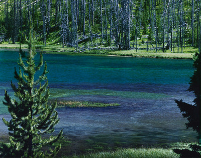 Yellowstone