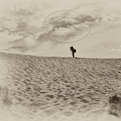 Coral Pink Sand Dunes
