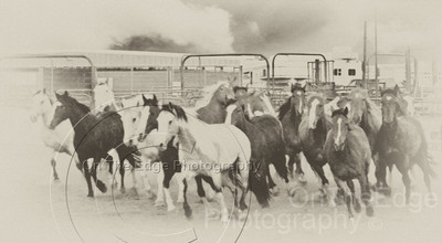 Thermopolis Wyoming Round up