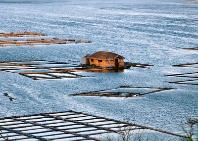 Fish Hatchery San Pablo, Philippines